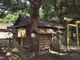 sklfhさんの竹神社の投稿写真1