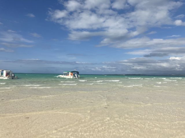 �l���̎ʐ^_�}�����T�[�r�X�A�|�����Ί_��