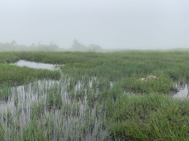 �R���̎������i_�c��R�E�P��o�R���^�����o�R��