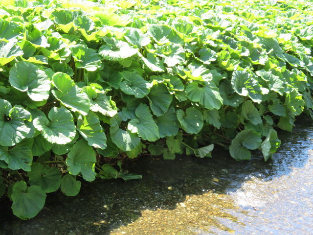 yosshỹuLϏ܂ُ̓eʐ^4