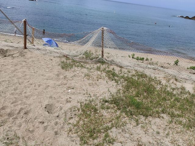 �C�ł�_��l���������r�[�`