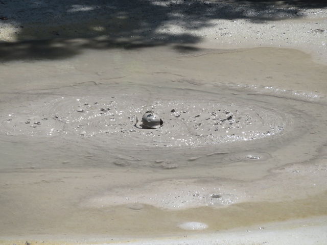 u{R{RvƕĂ܂_{bPiDΎRj