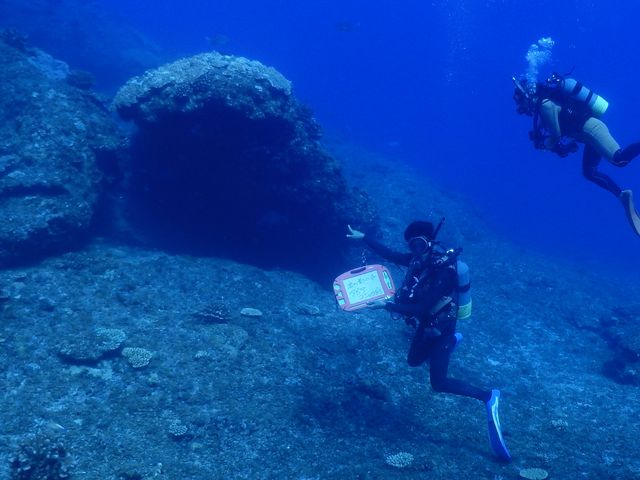 Vbv̎叫BNB_}_CrOZ^[