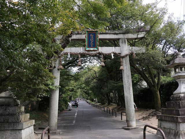 �C�����̂����Q���B_��X�_��