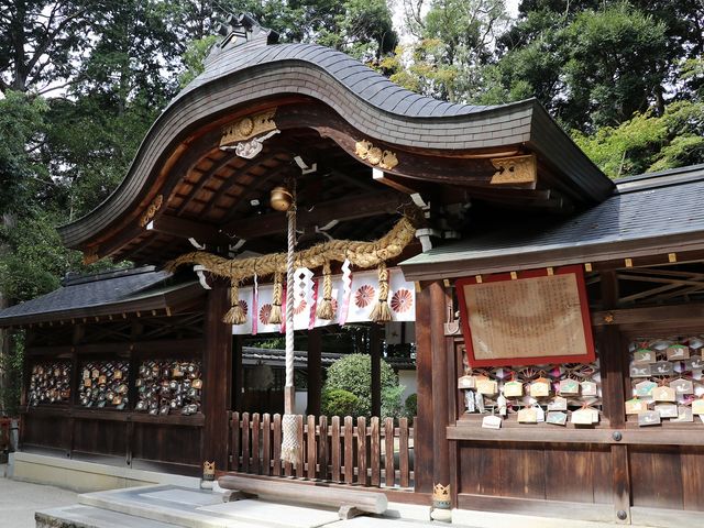 �Q�q�҂����Ȃ߁B_��X�_��