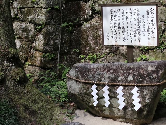 ���d�_�B_��X�_��