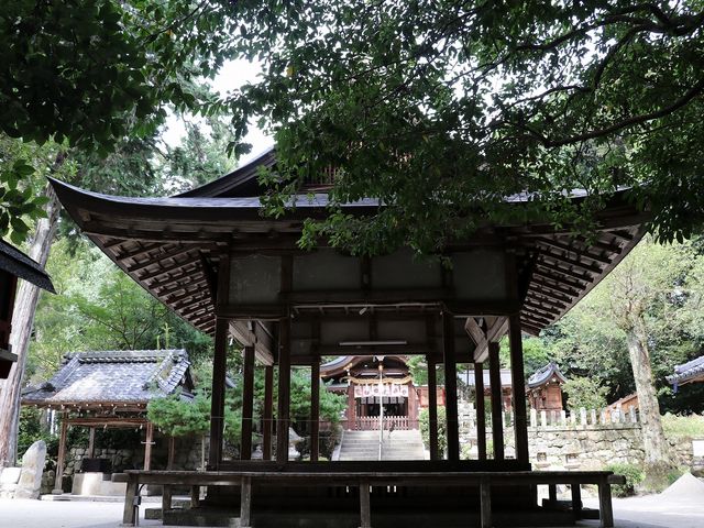 ���������������B_��X�_��