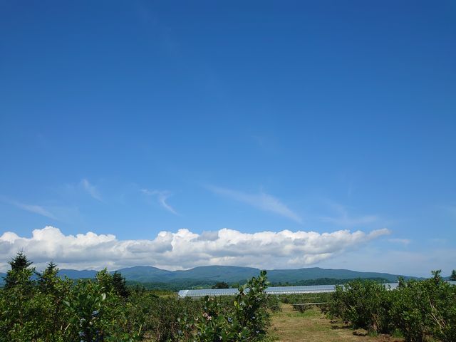 �������V�C�ł���_�x���[�x���[�t�@�[����c