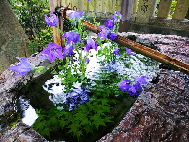 ���q�_�ЂɂĉĂ̗������������܂���!!
�L���C�Ŗ�����܂���!!_���q�_��