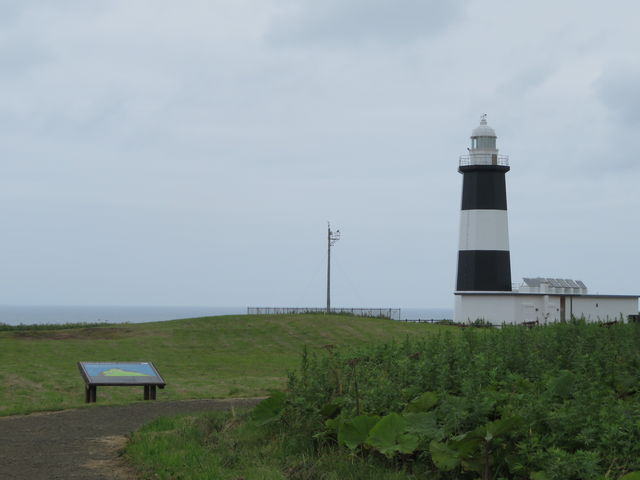 �V�C���悯��΁c_�\�斦�C��