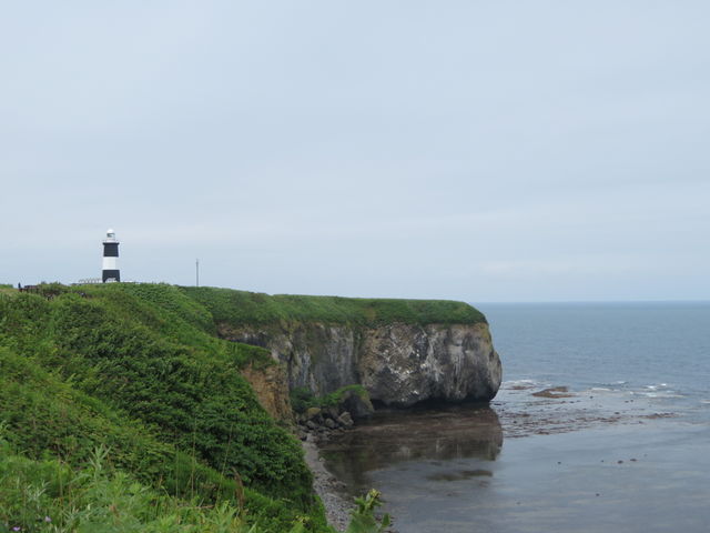 �k�C���͍L��_�\�斦�C��