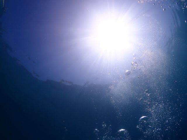 ���߂Č���C�̒��̐��E
�ƂĂ��Y��ł���_�����_�C�r���O�T�[�r�X�@Smiley Dive