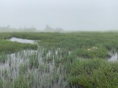 hijikigoke̕cREPoR^oRւ̓eʐ^1