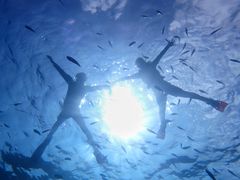 kitazawaNature Guide Double Rainbow lC`[KCh@_uC{[ւ̓eʐ^1