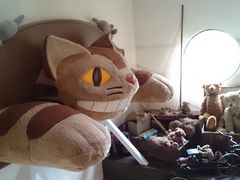 Jasmine̓ߐ{efBxAE~[WAւ̓eʐ^1