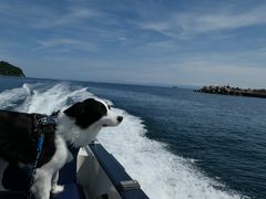 kotarȍM̓AN[Yւ̓eʐ^2