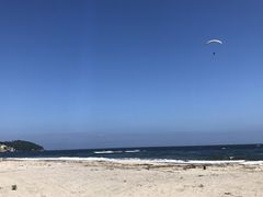 悤̏MCpOC_[̌ւ̓eʐ^1