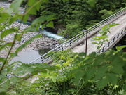 Ƃ񂳂̏HR@򋴂̓eʐ^2