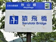 Ƃ񂳂̏HR@򋴂̓eʐ^4