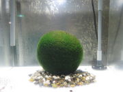 yosshỹ}Wώ@Z^[̓eʐ^4