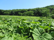 yosshỹuLϏ܂ُ̓eʐ^3