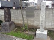 Ё[񂳂̊NEcH̓̕eʐ^1