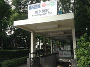 Ё[񂳂̉P։w̓eʐ^1