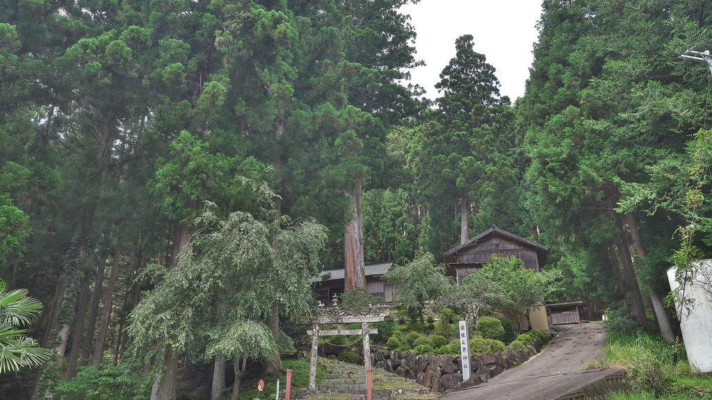 東栄町（北設楽郡）の動物園・植物園ランキングTOP1 - じゃらんnet