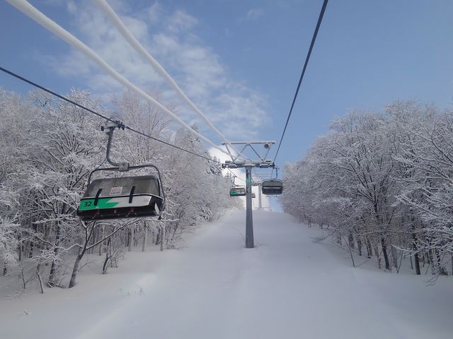 �L�����X�m�[���[���h