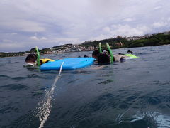 ݂Nature Guide Double Rainbow lC`[KCh@_uC{[ւ̓eʐ^1