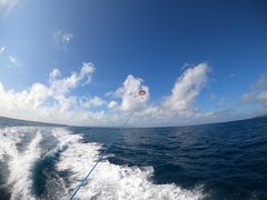 }cI̐Ί_u[V[T[ւ̓eʐ^1