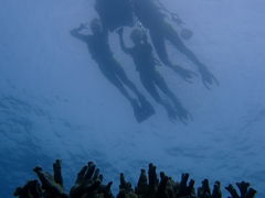 Nature Guide Double Rainbow lC`[KCh@_uC{[ւ̓eʐ^1