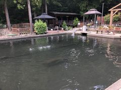 �e�B�[�i����̃t�B�b�V���O�G���A��ܗ��ւ̓��e�ʐ^1