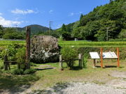 AbL̋YƐՁEYVѐ΂̓eʐ^2