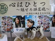 񂳂̂tƁij\ǍH̓eʐ^5