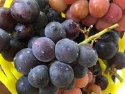 䂩񂳂̑׉ʉ̓eʐ^2