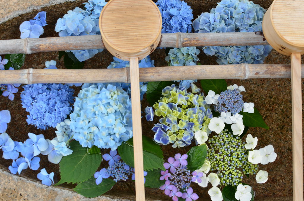 尼崎 宝塚 三田 篠山の神社 神宮 寺院ランキングtop10 2ページ目 じゃらんnet