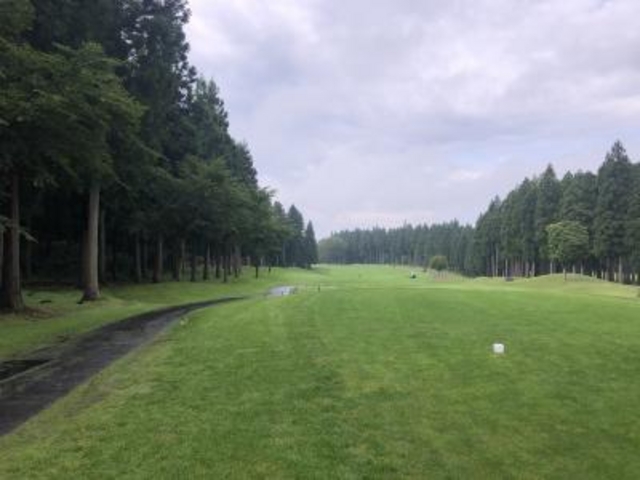 �O���X�^�[�g_�݂��̂����ۃS���t��y��