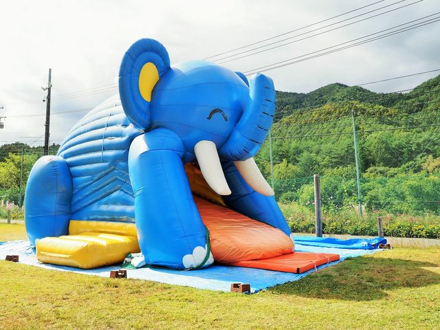 子供の遊び場_治部坂高原100万本のコスモス