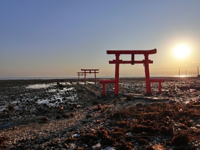 夏空と海と鳥居 - 宮津市、住吉神社の写真 - トリップアドバイザー