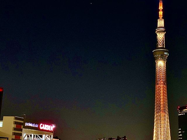 X[p[̉ォłI̐F߂Ăł@2_XJCc[