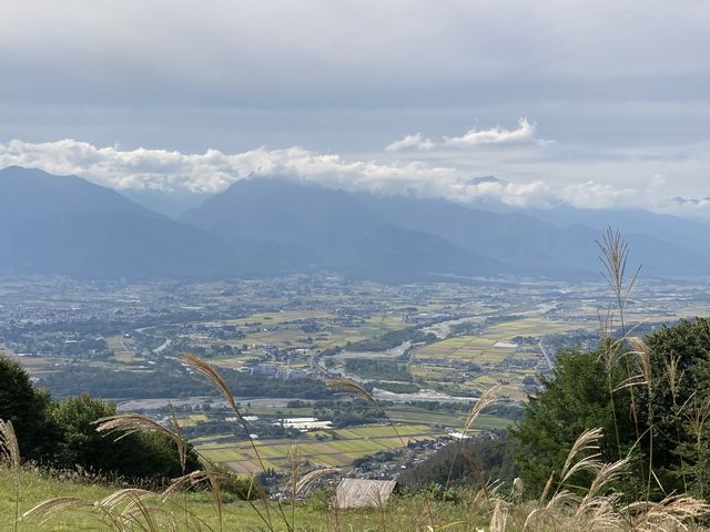 �H�̕���������f�G�Ȓ���_����R�x�e�W�]��