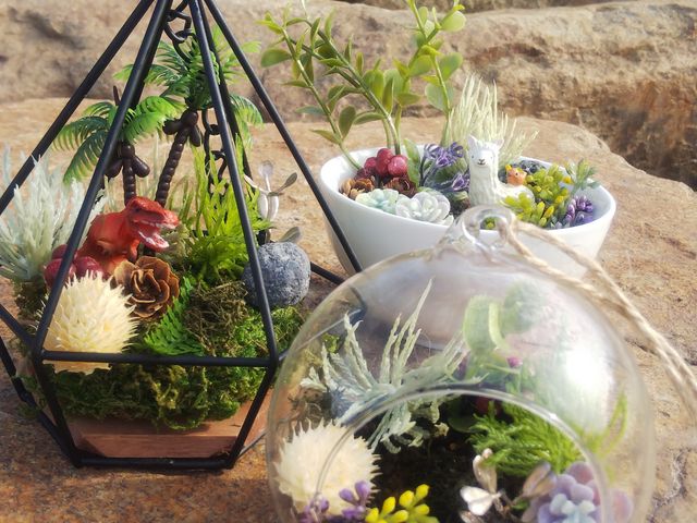 ߂̃C{[r[`ɂ_R[q[&x[J[