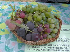 �܂�����񂳂�̂��ǂ�_���ւ̓��e�ʐ^1