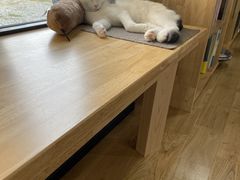 ҂񂳂̂ɂlivingւ̓eʐ^2