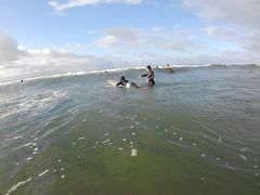 �肱��̂����Karum�ւ̓��e�ʐ^1