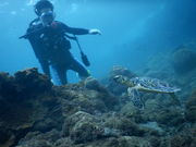 ߂܂邳̉v_CrOZ^[̓eʐ^1