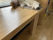 ҂񂳂̂ɂliving̓eʐ^2