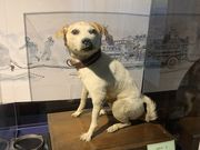 }T̏Msى^͊فiMqɁj̓eʐ^3