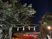 tomokitöɘא_Ђ̓eʐ^5